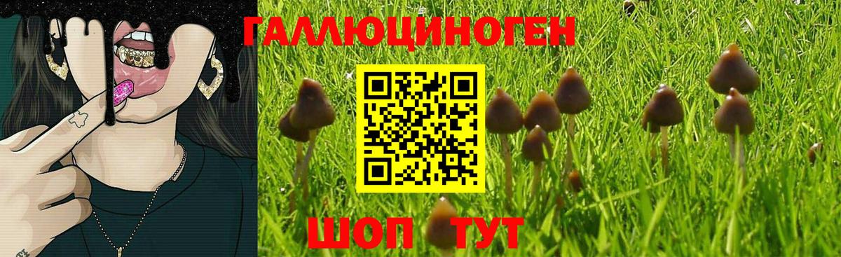 Псилоцибиновые грибы мухоморы  Псилоцибиновые грибы ЛСД  Вход с VPN  Щёлково 